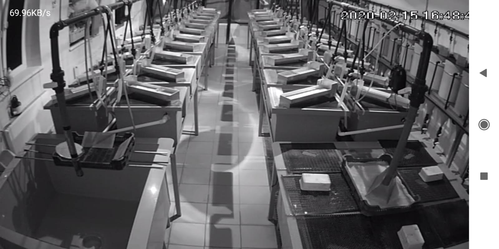 Un laboratorio de acuicultura con bandfeeders.